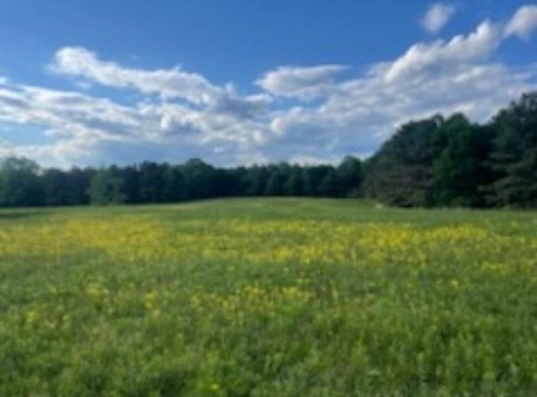 001 Hindman Rd, Hodges, AL 35571