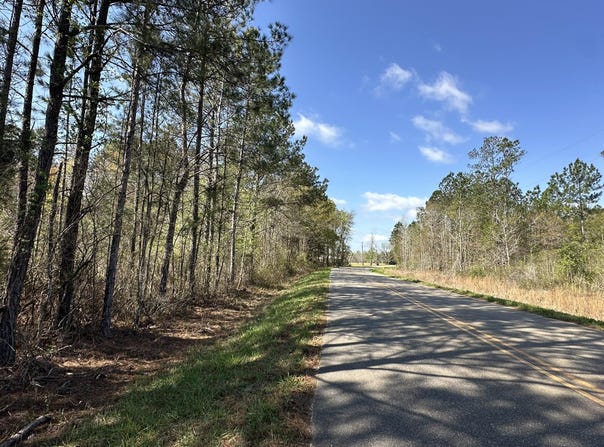 A1 Snider Avenue, AL