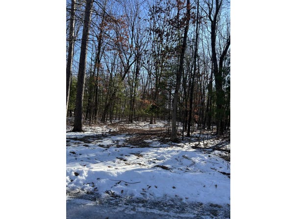 Franklin Road lot: 1, Tomah, WI 54660-9999
