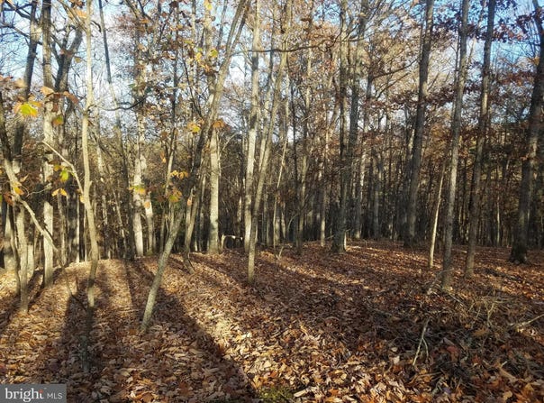 ACORN Lane, ROMNEY, WV 26757