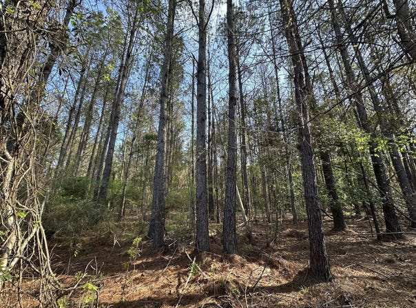 .83+/- ac Lett Road, AL