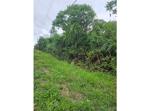 Bailey Rd, Groveland, NY 14462