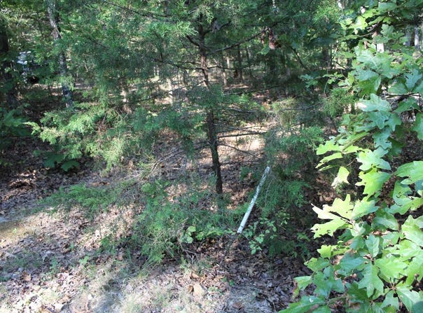JEB ROAD lot: 38, Flippin, AR 72634