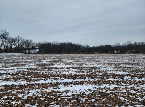 PARCEL 140 CEMETERY Road, Milton, PA 17847