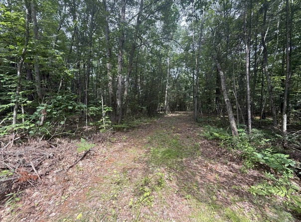 VL N M-30 Highway, Gladwin, MI 48624