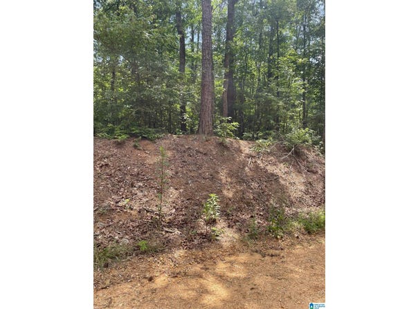 MITCHELL DRIVE lot: 3, VANCE, AL 35111