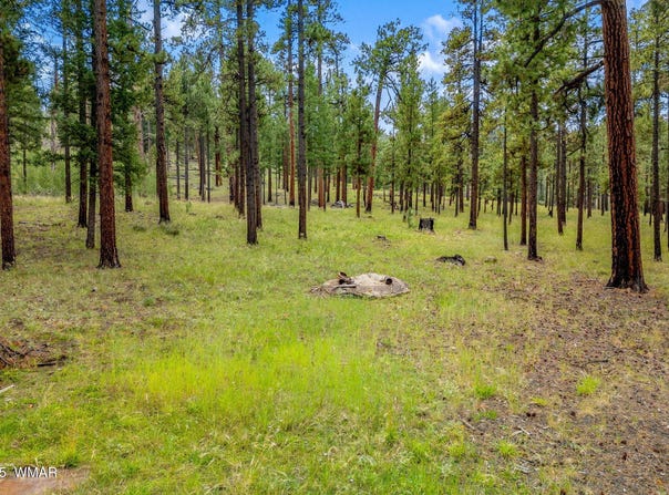 16 N1062, Greer, AZ 85927