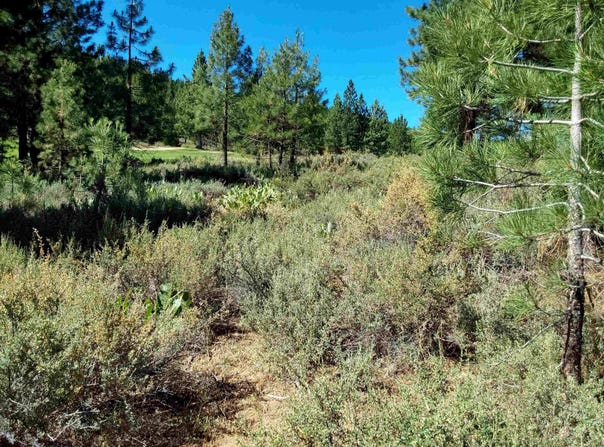 1175 Great Spirit lot: 388, Portola, CA 96122