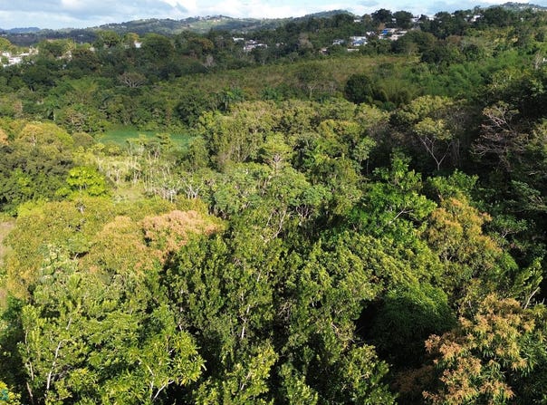 Aguada, Aguada, PR 00602
