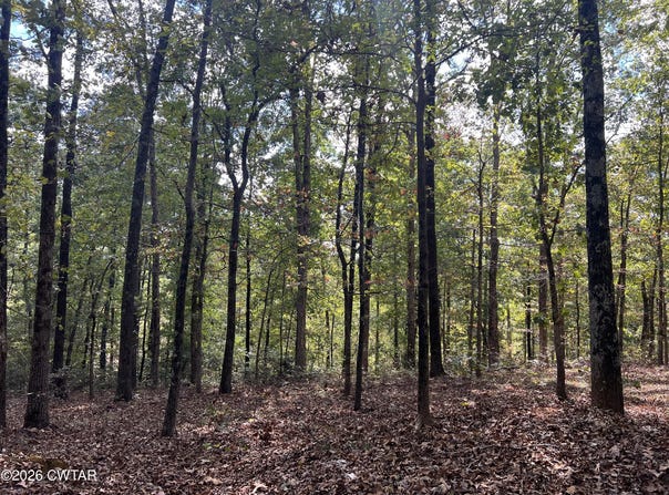 4600 Silerton Road, Henderson, TN 38340