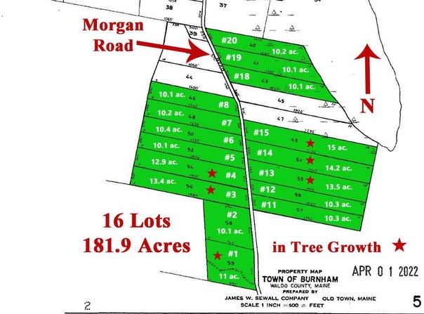 Morgan Road, Burnham, ME 04922