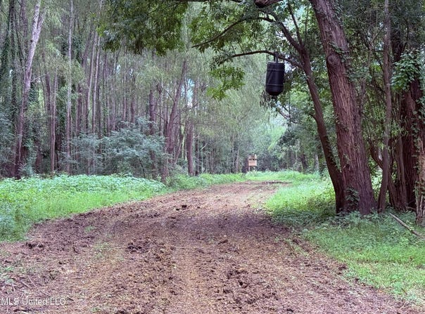 Bourke Road, Natchez, MS 39120