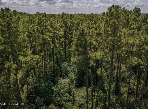 Driftwood Road, Summit, MS 39666