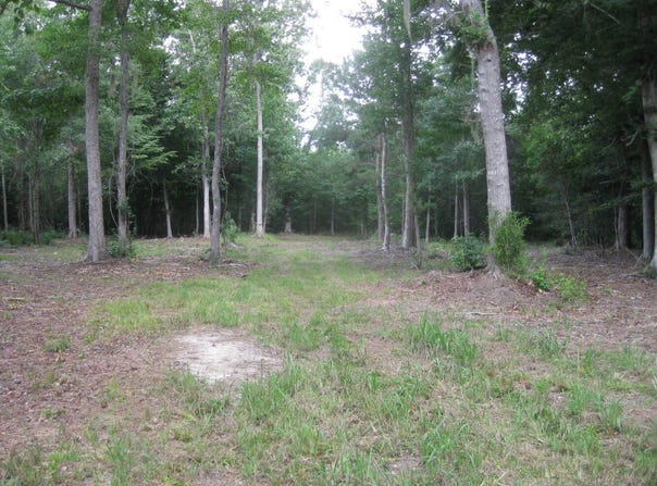 Slab Landing Road, North, SC 29112