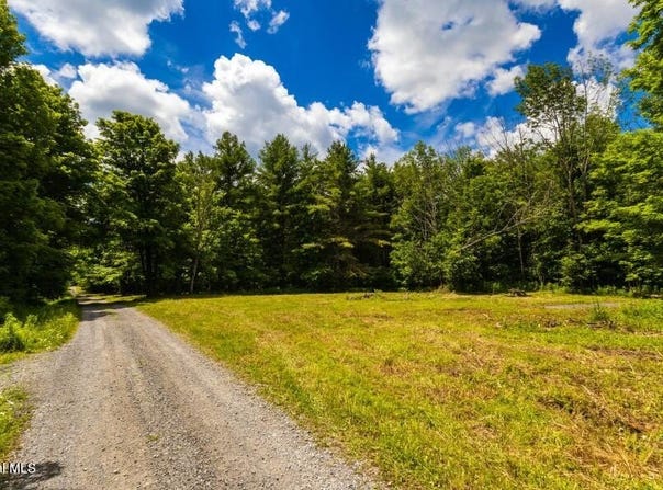 L4.111 Anderson Road, Broome, NY 12122