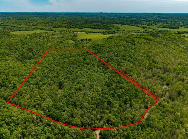 000 Private Rd, Drury, MO 65638
