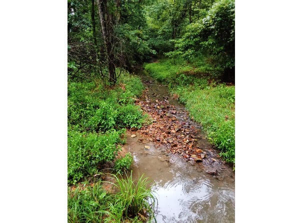 Fraker Road, Buffalo, MO 65622