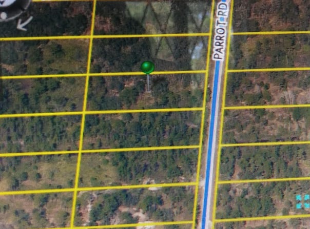 Parrot Road N, Weeki Wachee, FL 34614