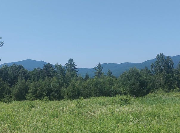 Plot Road lot: 3, Johnson, VT 05656