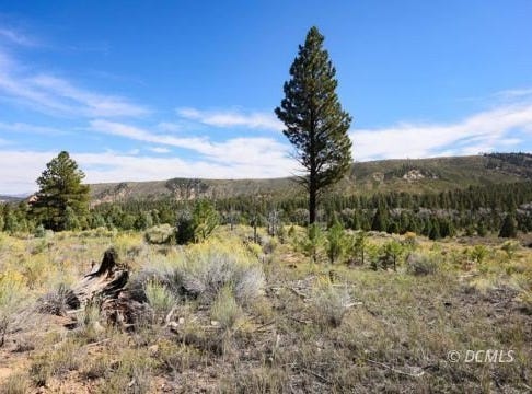 W Doe Rd, Mammoth Creek, UT 84735