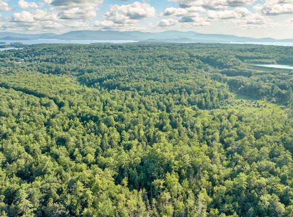 290 Pine Hill Road, Wolfeboro, NH 03894