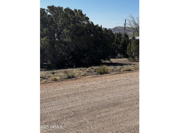 58 Short Lane, Concho, AZ 85924
