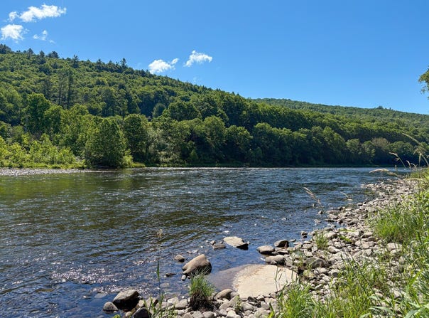 Coyote Ln, Equinunk, PA 18417