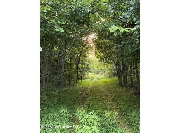 2000 Sparks Road, Lake Cormorant, MS 38641