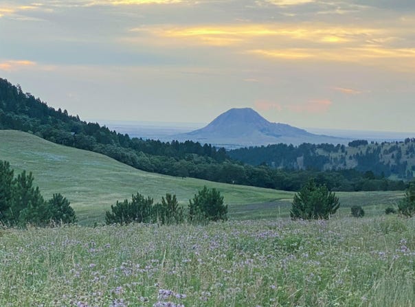 149.82+/- acres, Whitewood, SD 57793