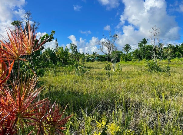 KAPOHANALU ST, Pahoa, HI 96778