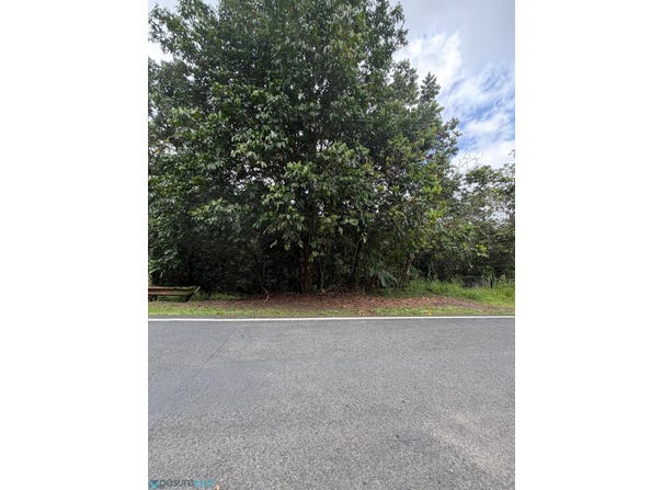 Cedro Abajo, Naranjito, PR 00719