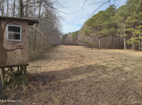1356 Harrell Road, Maben, MS 39750