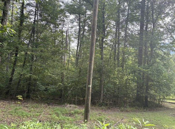 123 N River Rd., Covington, VA 24426