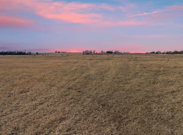 FM 13200, Blossom, TX 75416