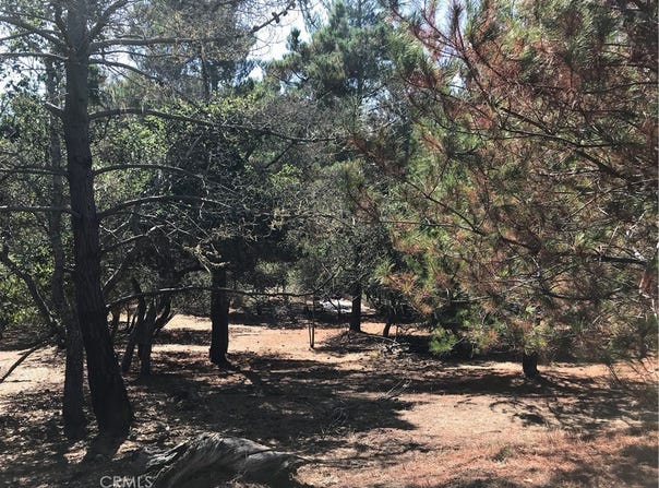 Tully Place, Cambria, CA 93428