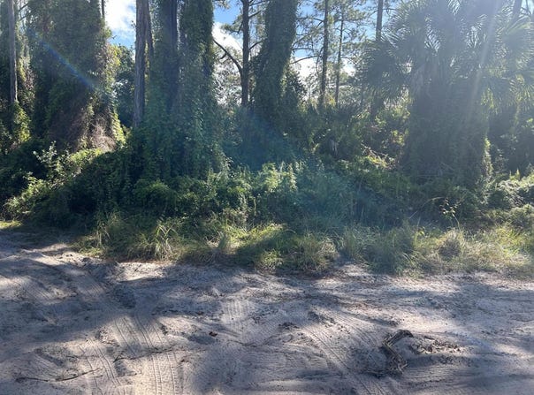 Slash Pine Trail, Fort Pierce, FL 34945
