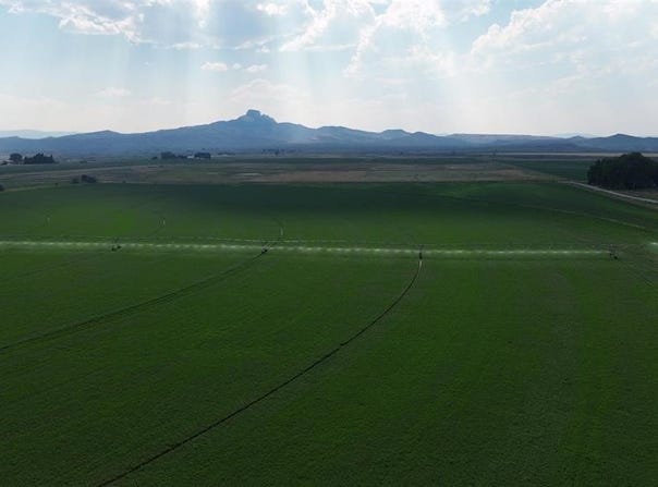 Road 20, Powell, WY 82435