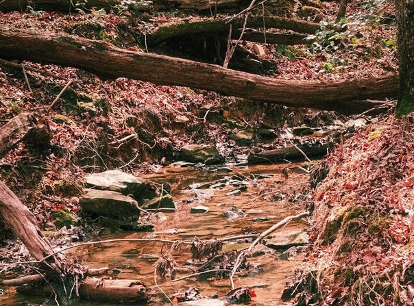 Ferguson Road, Chapel Hill, NC 27516