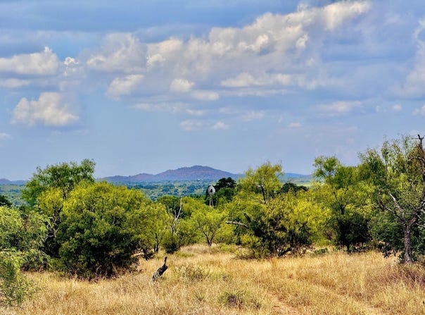 W Hwy 29, Llano, TX 78643