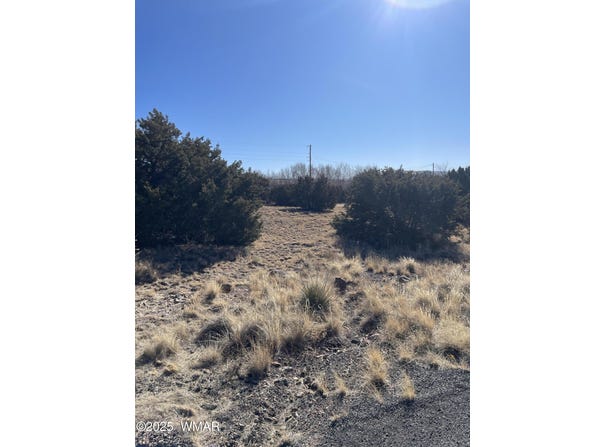 74 Dawn Lane, Concho, AZ 85924