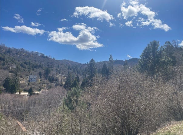 Pine Drive, Cedar Glen, CA 92321