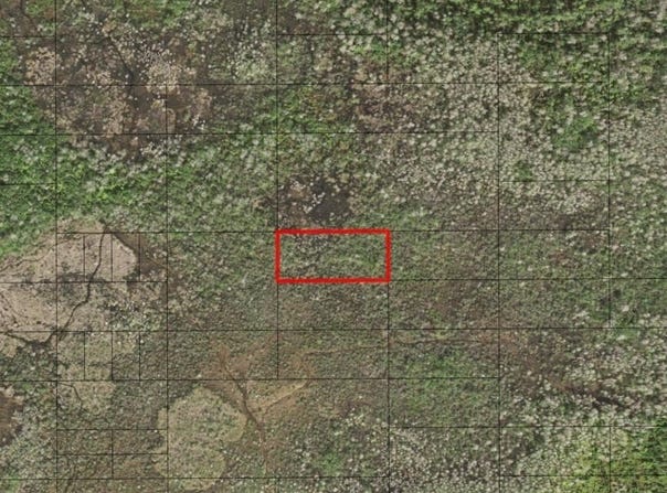 Holopaw Groves Road, St. Cloud, FL 34772