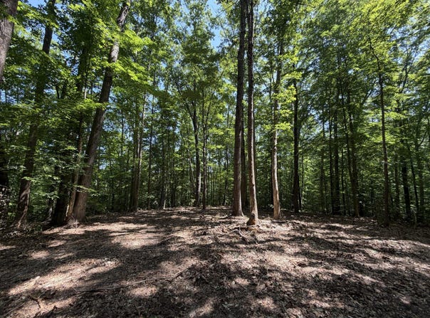 PARRISH Road lot: 4A, LOUISA, VA 23093