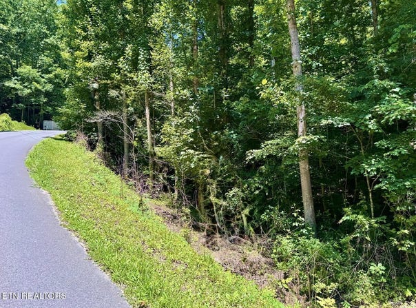 Fiesta Blvd, Sevierville, TN 37876