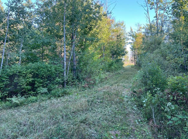 Dell Rd, Finlayson, MN 55735