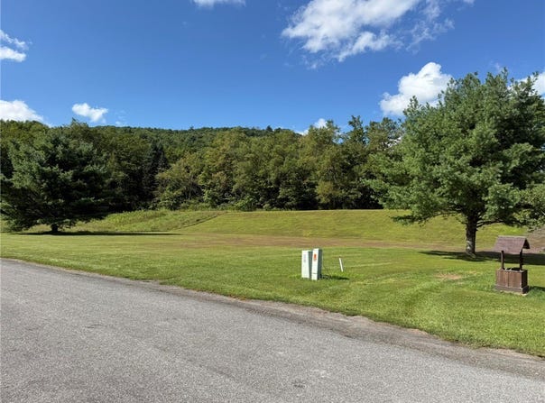 Colonial Drive lot: #4, Roxbury, NY 12474