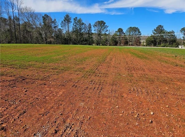 8160 COUNTY ROAD 87, LANETT, AL 36863