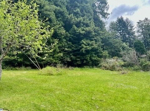 Woodland Way, Eureka, CA 95503