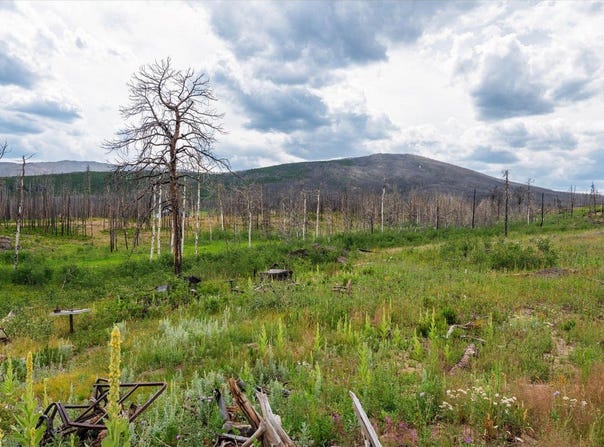 529 Quartz Rd, Bellvue, CO 80512