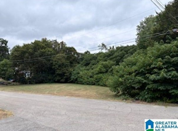 1120 E NORMAN STREET lot: 000, BIRMINGHAM, AL 35217